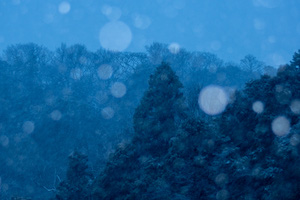 雪をフラッシュで
